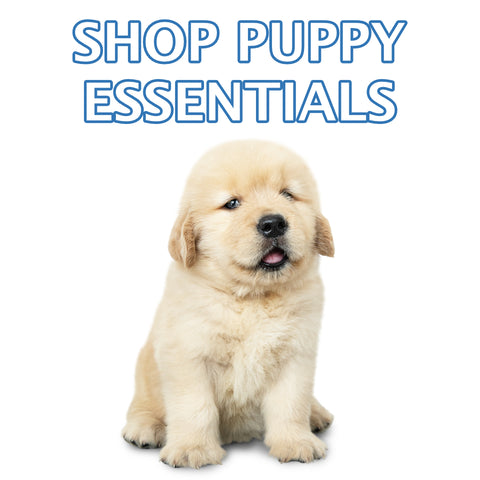 Shop New Puppy Essential Products