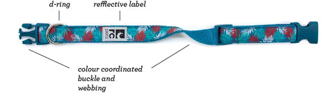 RC Pet Clip Collar Information