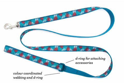 RC Dog Leash Information