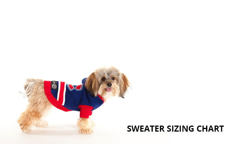 nhl pet gear