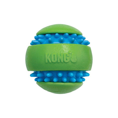 KONG Shieldz Tropics Dog Toy - Frog