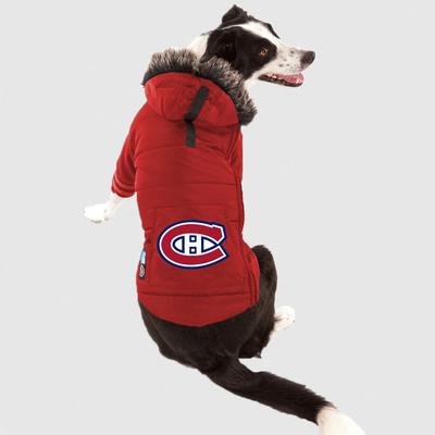 Buy A Montreal Canadiens Dog Sweater Online Canada