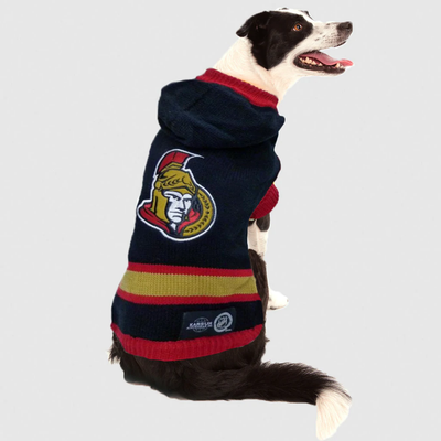 NHL Calgary Flames Sweater for Dogs