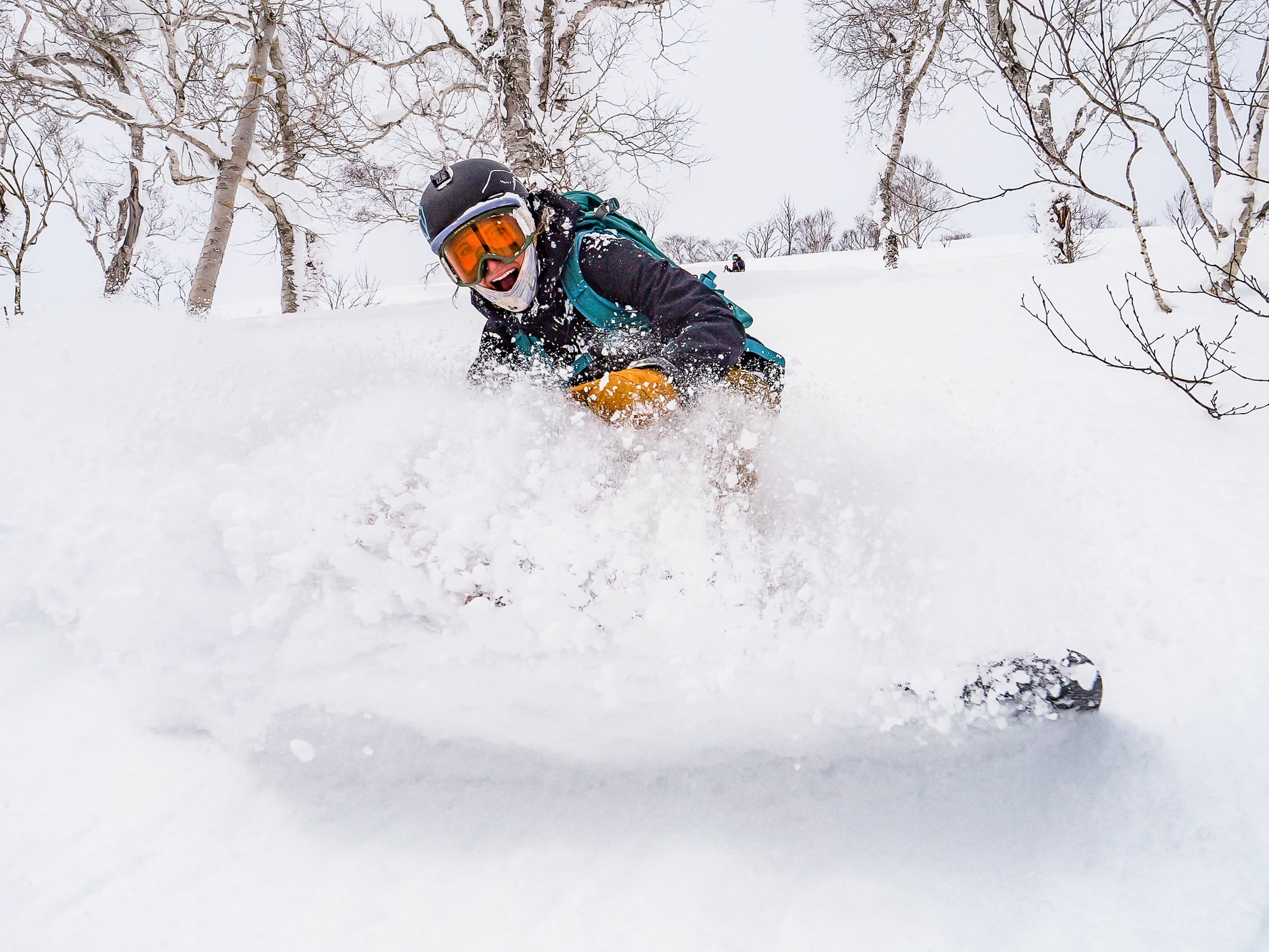 Powder skiing in Japan with Coalition Snow