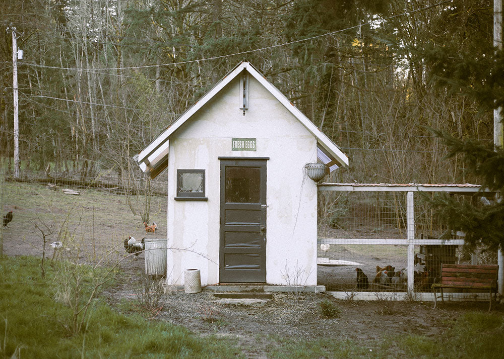 Photos from Adored Vintage Team Retreat 2022 at Wilson Farm Cottage in Damascus, Oregon