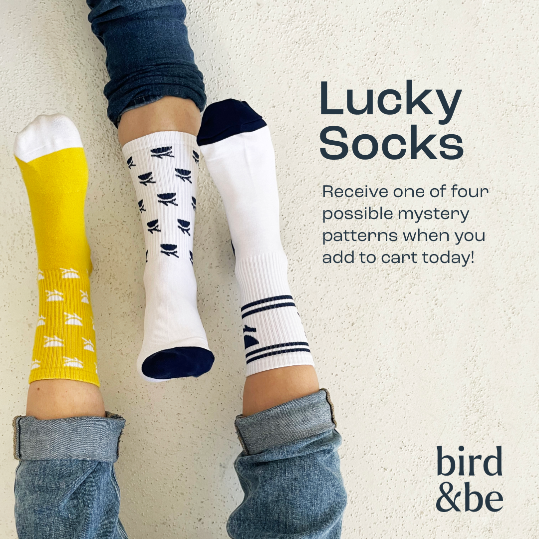 Lucky Socks - BirdBe product image