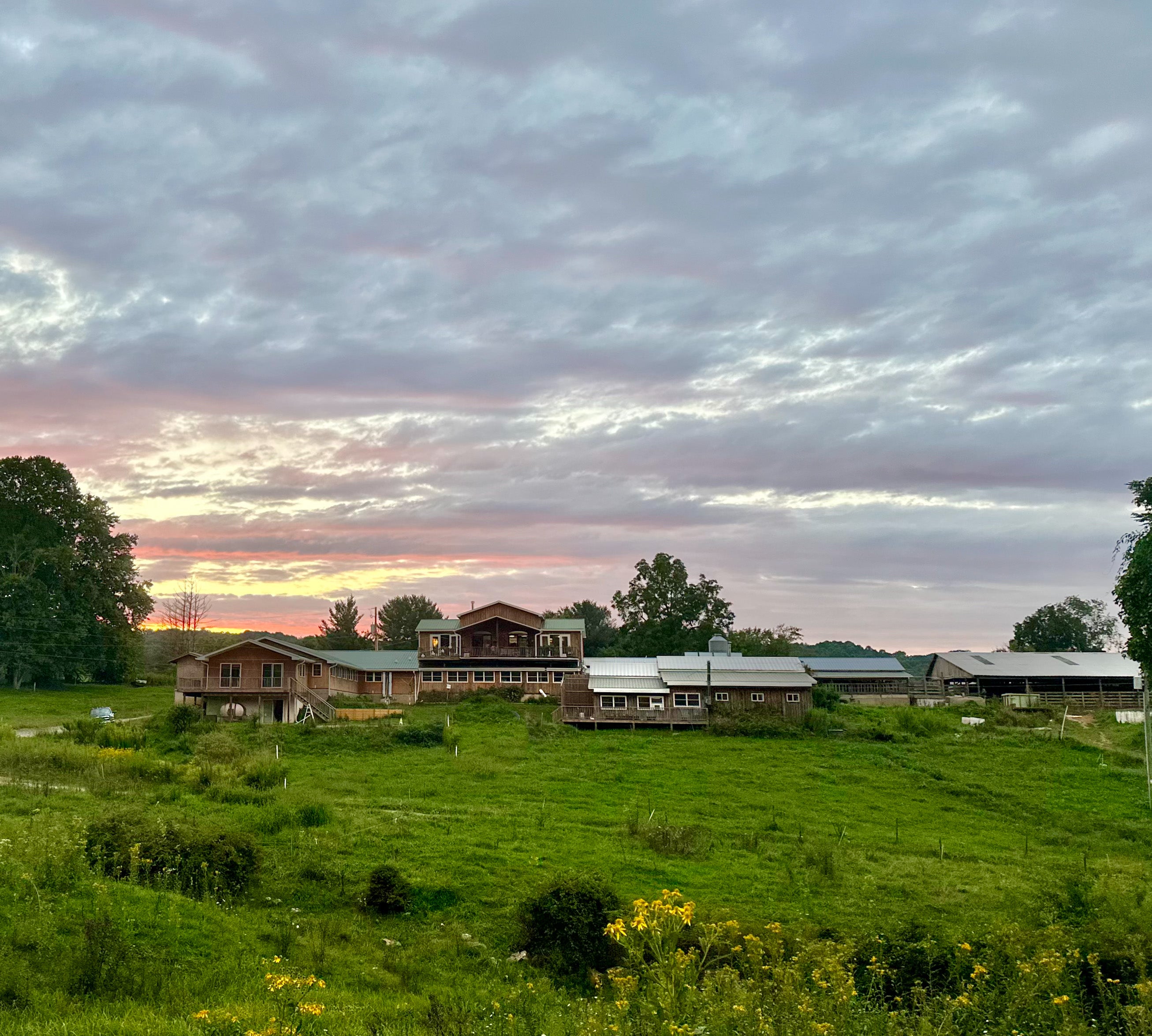 Meadow Creek Dairy