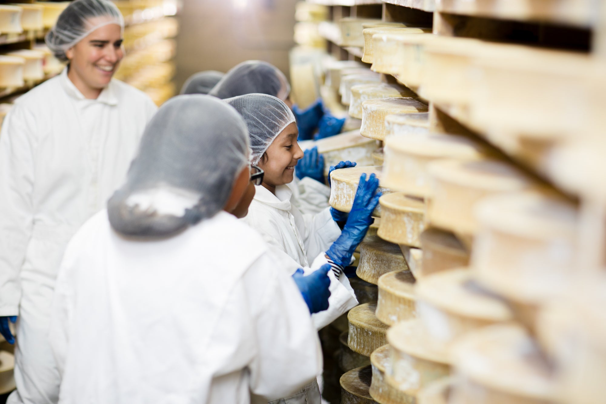 ID: Cheese caves at Spring Brook Farm