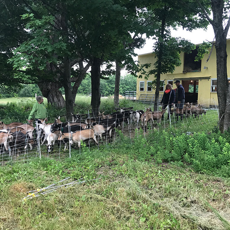 https://cdn.shopify.com/s/files/1/1444/2808/files/barn-first-barn-and-goats-o.jpg?v=1541713643