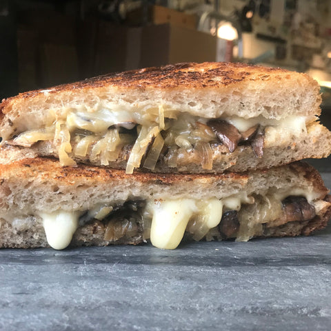 grilled cheese with onions