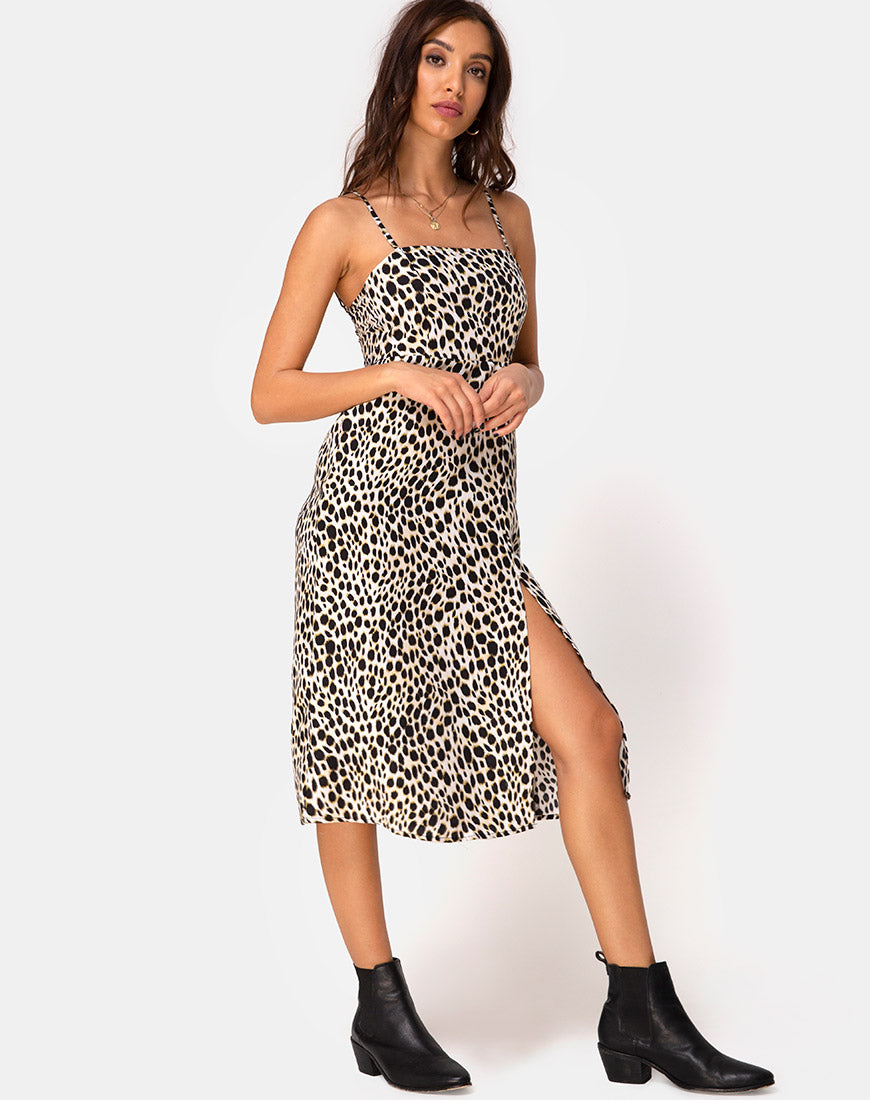 motel rocks cheetah dress