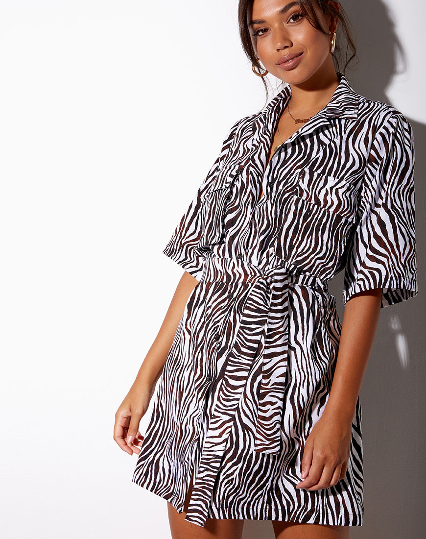 zebra print shirt dress