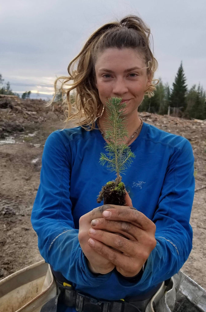 plant a forest with Blue Green Planet Project