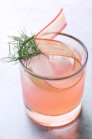 Rhubarb Fennel and Vermouth Cocktail