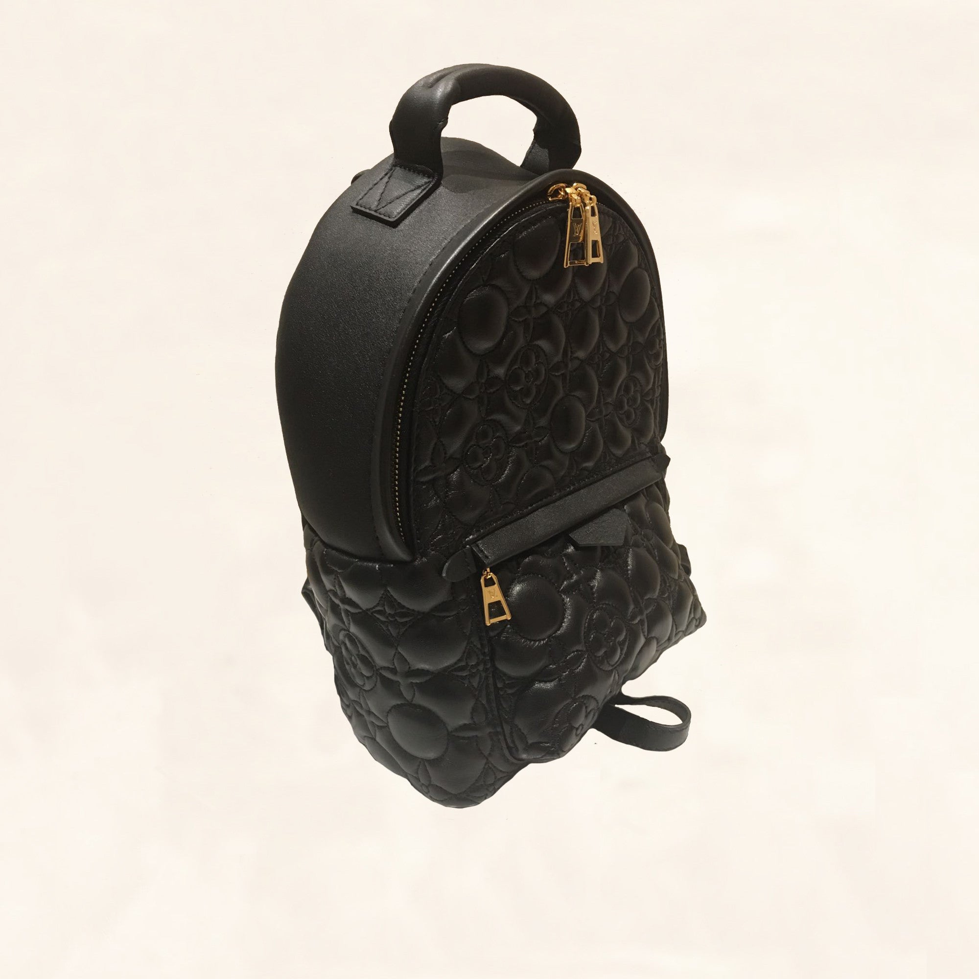 Louis Vuitton | Embroidered Lambskin Palm Springs BackPack | PM– The-Collectory