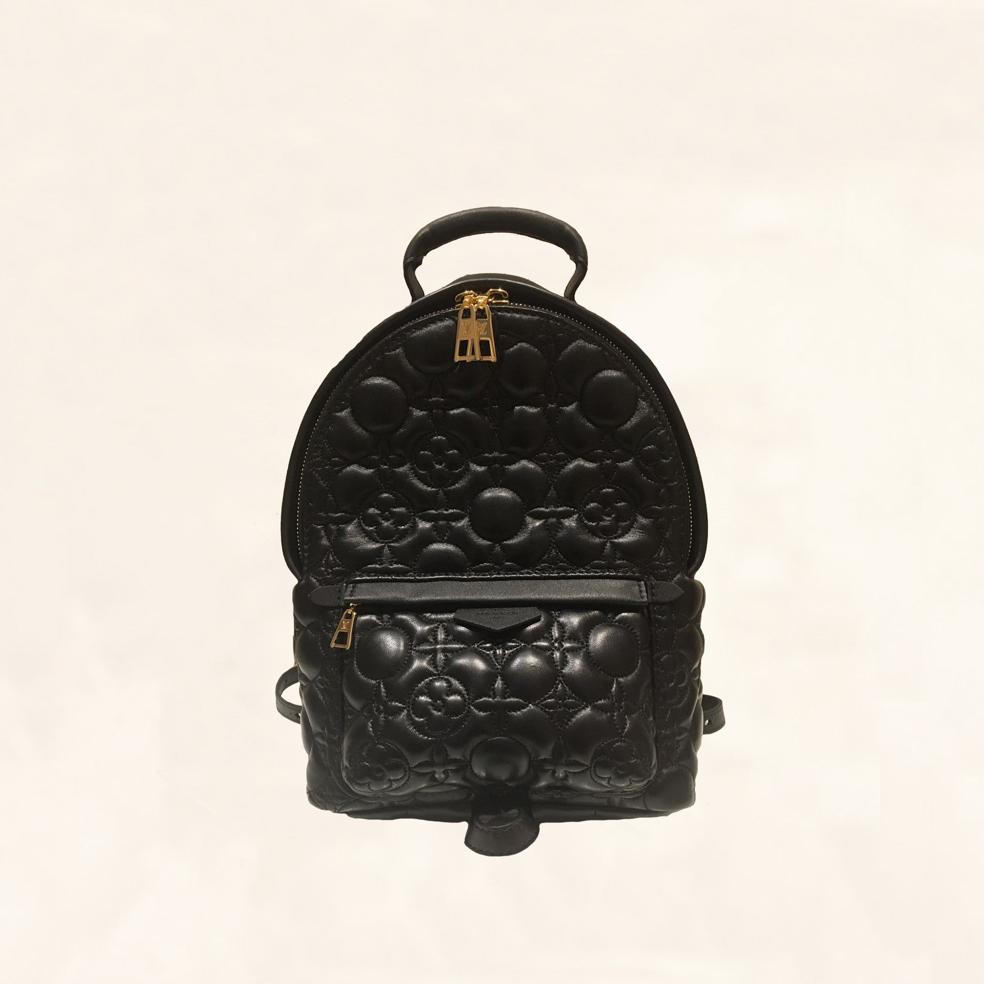 Louis Vuitton | Embroidered Lambskin Palm Springs BackPack | PM– The-Collectory