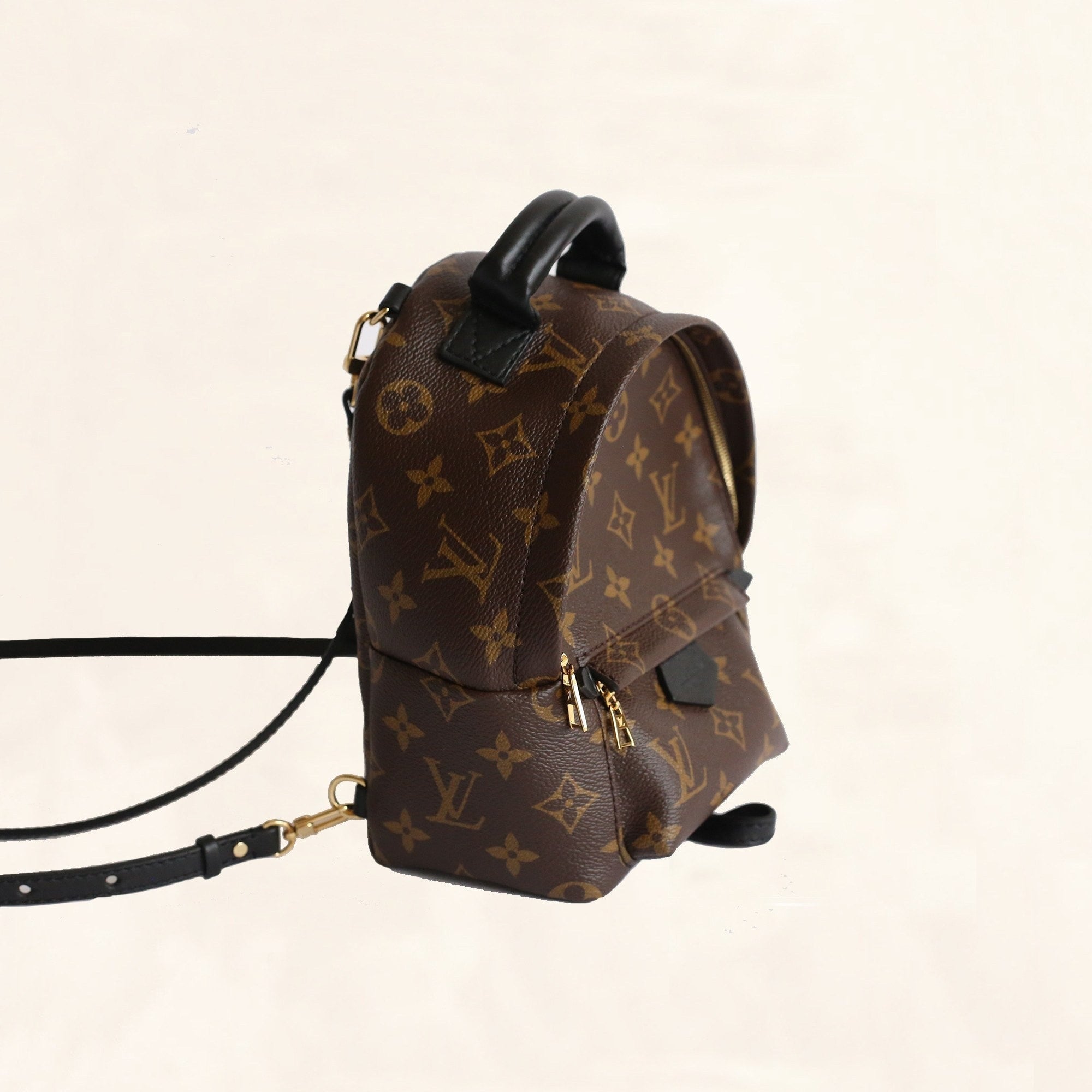 Louis Vuitton Palm Springs Backpack Mini M41562– The-Collectory