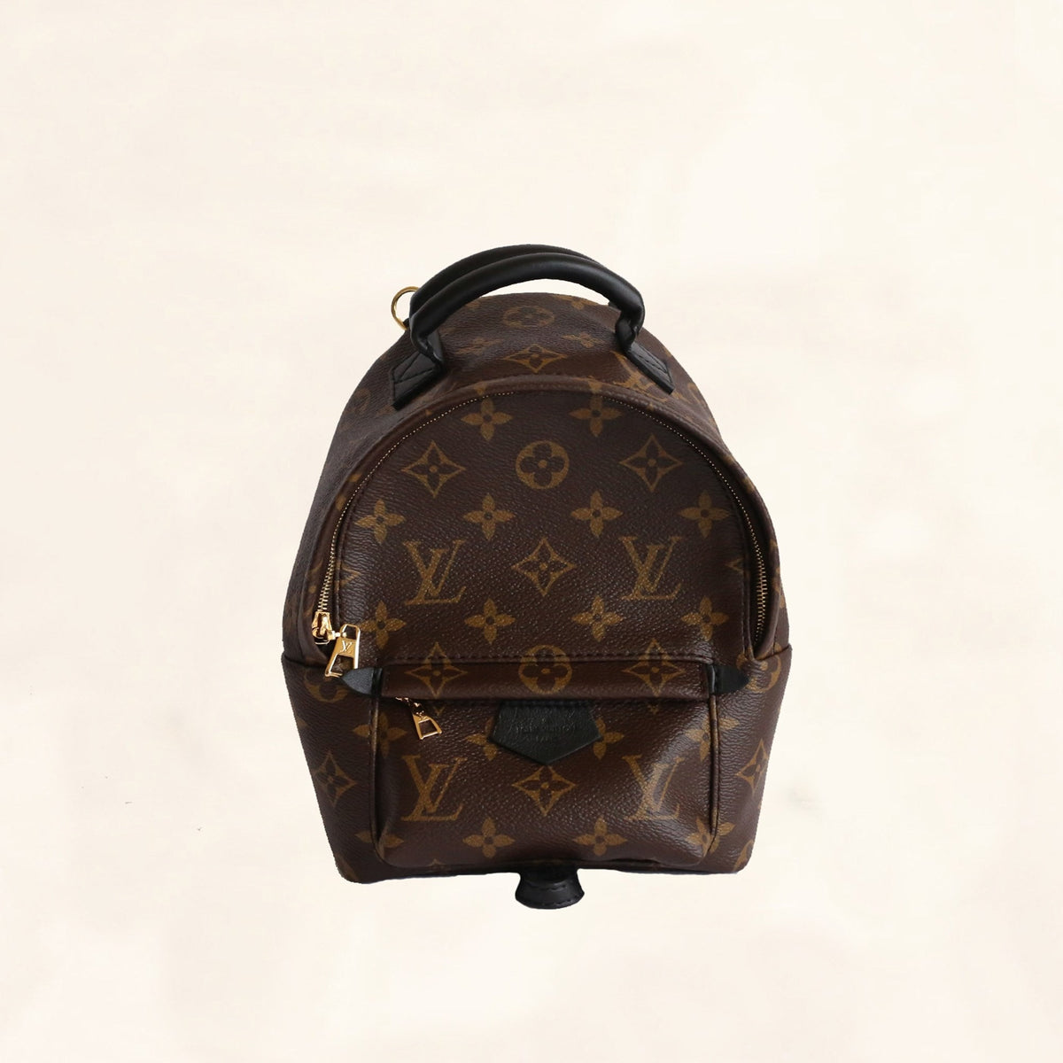 Louis Vuitton Palm Springs Mini Backpack For Sale at 1stDibs