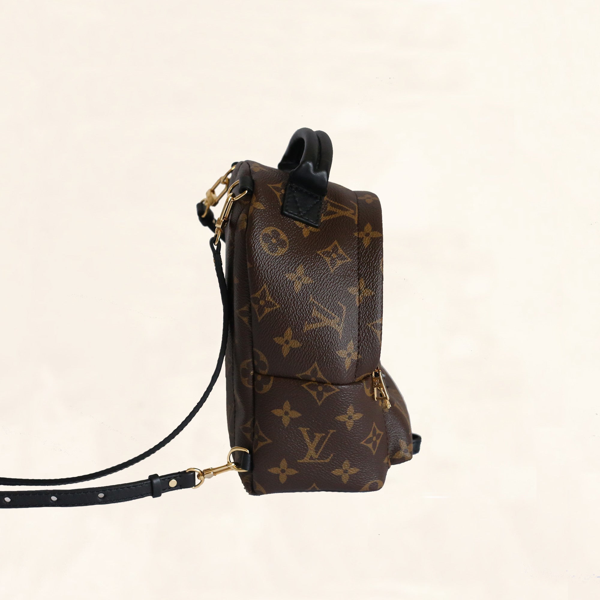 Louis Vuitton | Palm Springs Backpack | Mini– The-Collectory