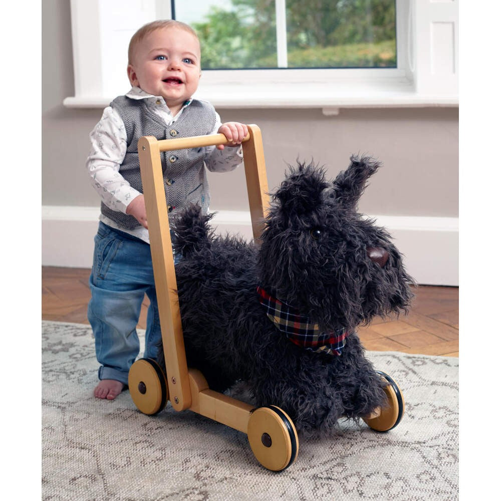 dog push along baby walker