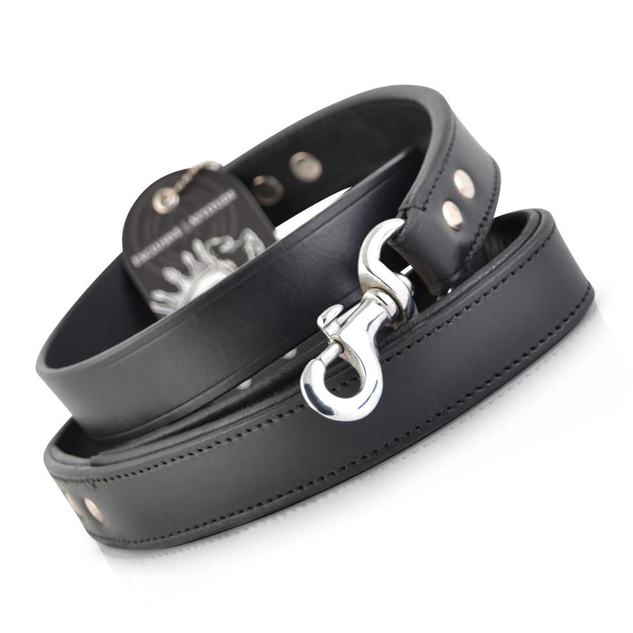 black dog leash