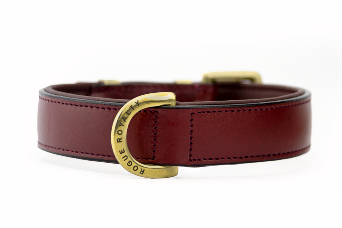 Leather Dog Collar- Classic Brown & Brass ( Regular Fit) - Rogue Royalty