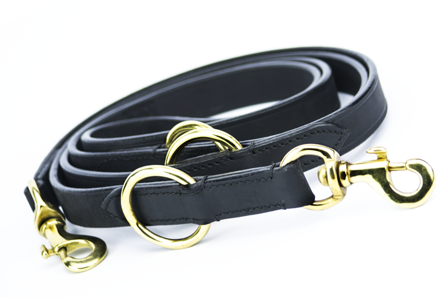 dog leash online