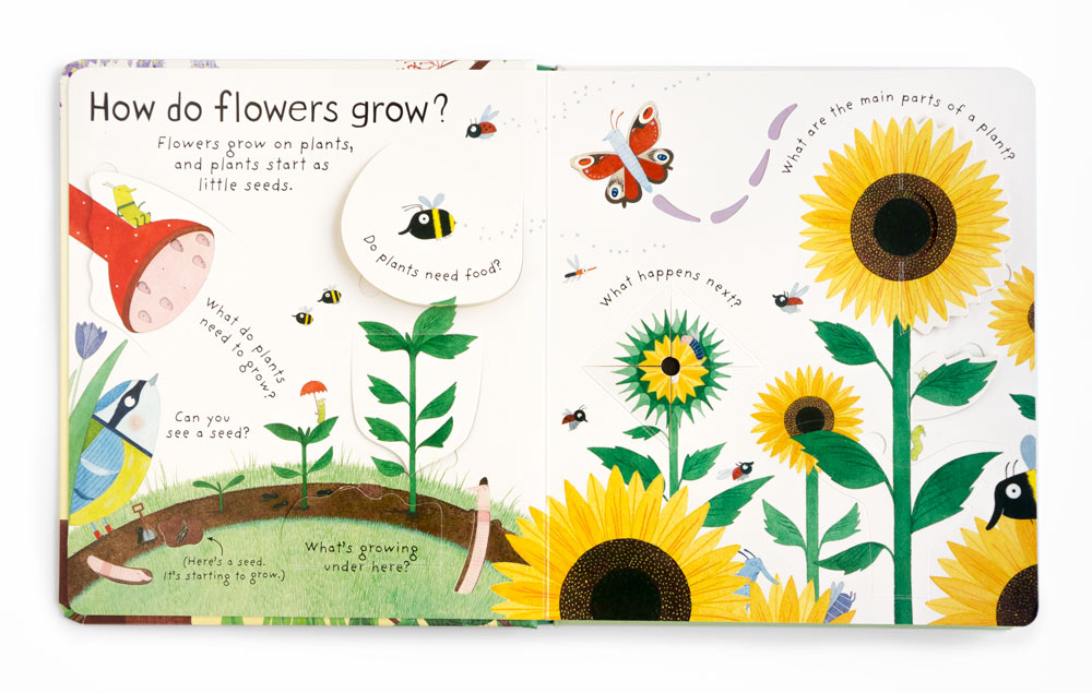 Interior of a book about how flowers grow