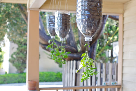 inverted hanging tomato planter out of plastic jugs