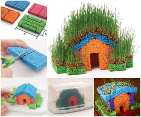 Mini sponge grass house