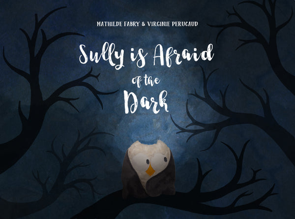 Book Sully is scared of the dark by Mathilde Fabry and Virginie Perucaud