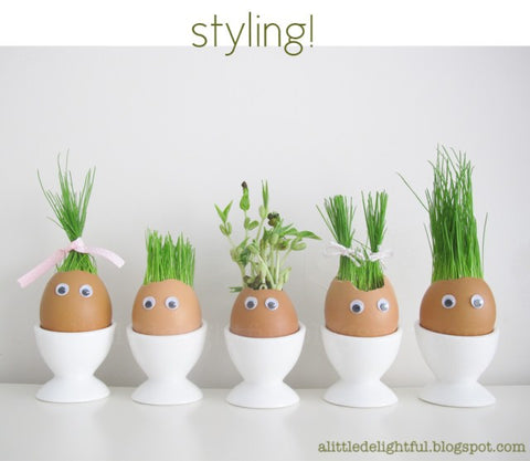 Egg with plant coming out of their head