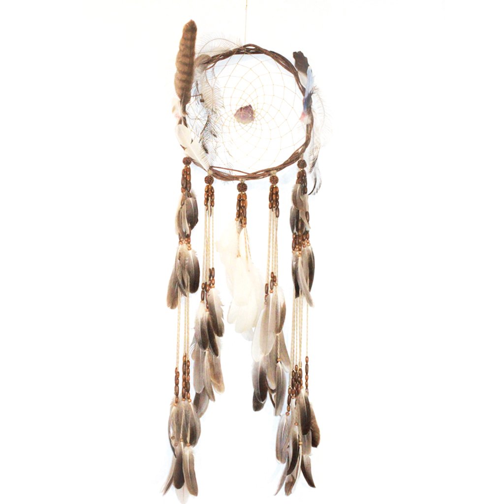 Aboriginal Dream Catcher