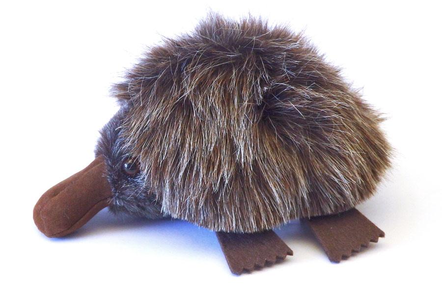 echidna stuffed animal