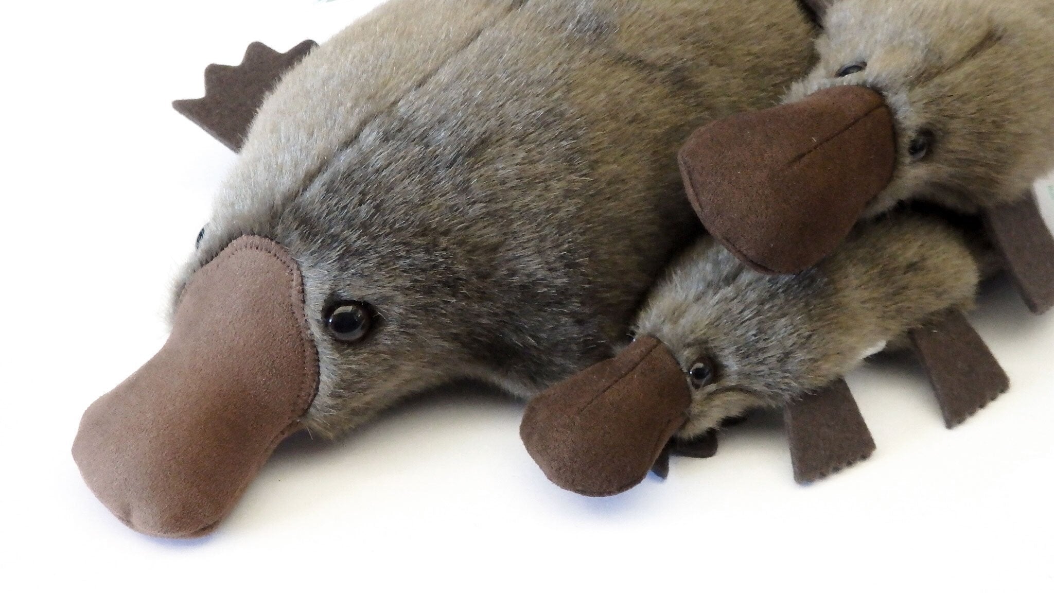 stuffed animal platypus