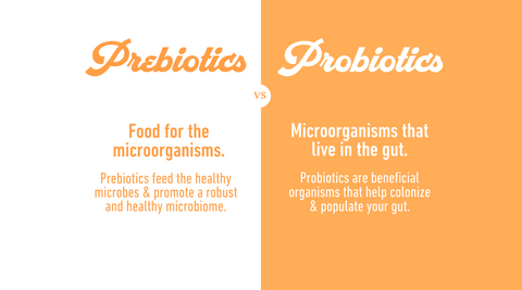 probiotics-vs-prebiotics