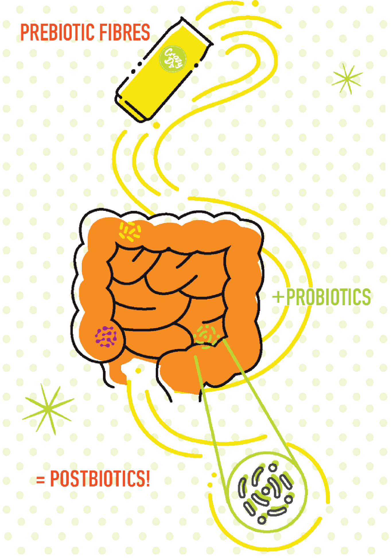 Prebiotics feed your existing probiotics, which results in the natural creation of postbiotics.