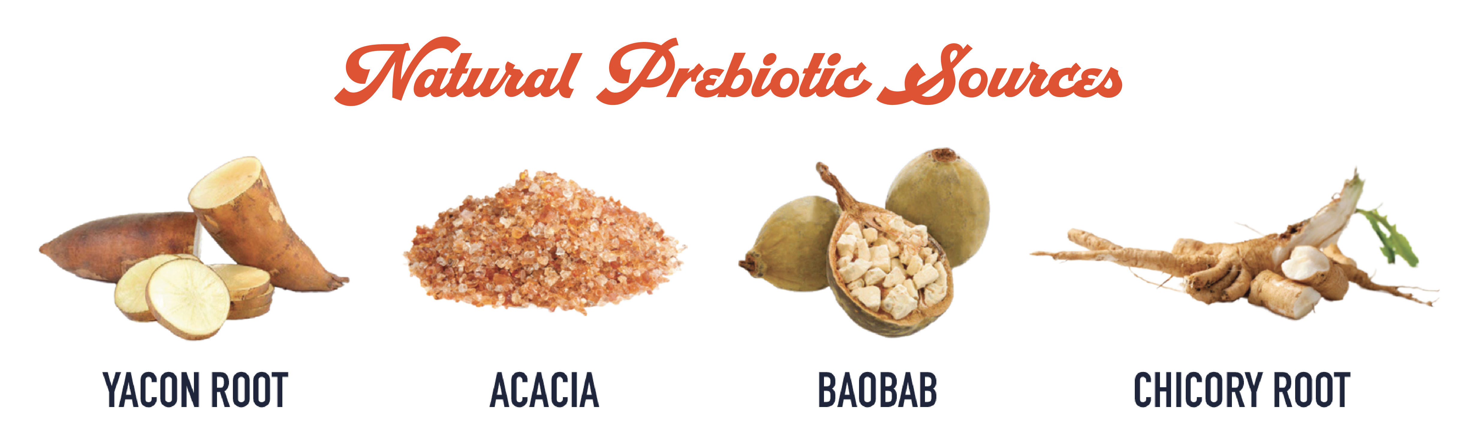 Natural sources of prebiotic fibres including Yacon Root, Chicory Root, Acacia Fibre (Sap from the Acacia Tree) and Baobab Fruit Pulp.