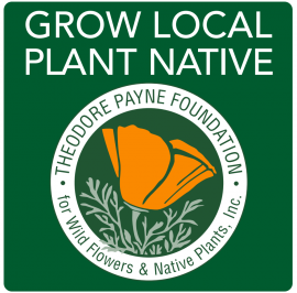 grow local native plant