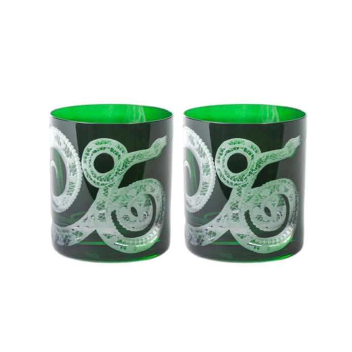 Snake Beer Can Glass - Maxima Gift and Book Center