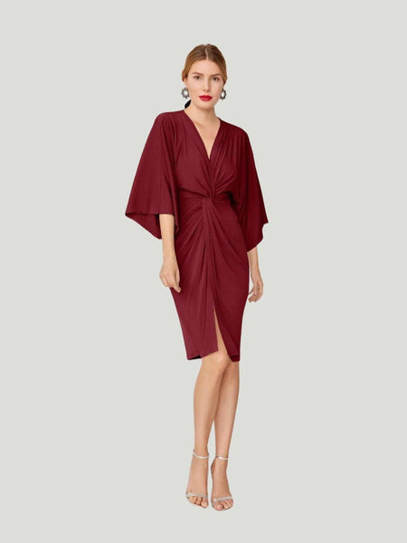 Bruna Cher Dress best holiday party dresses