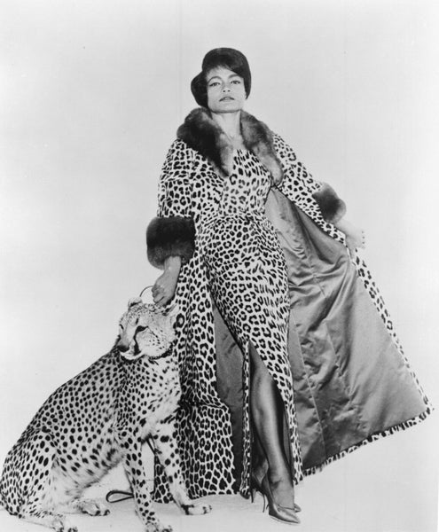 Actress Eartha Kitt posing with leopard in leopard print dress and coat African American fashion icons Black History Month boutiques in Minneapolis