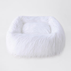 white dog bed
