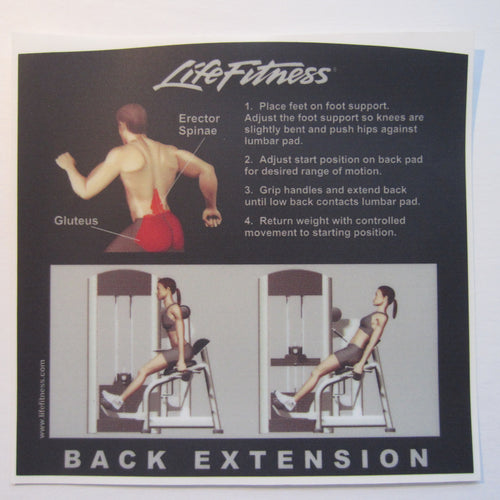 Life Fitness Back Extension