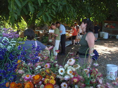 CSA pick-up day at GRUB