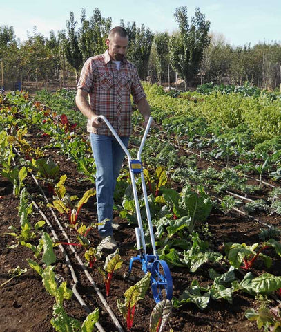 Valley Oak Wheel Hoe Weed Cultivate Plow Hill Furrow And More