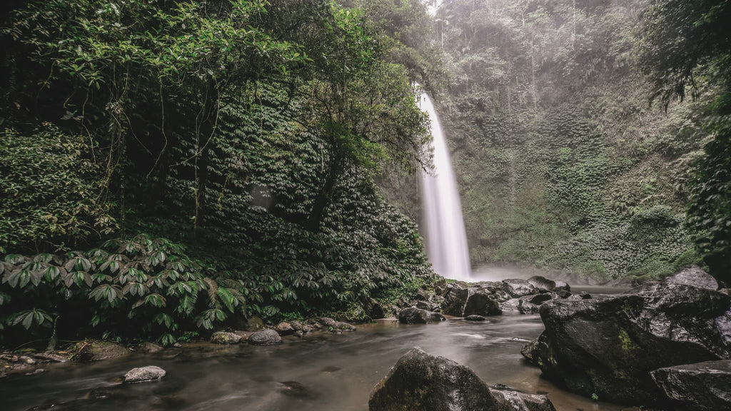 Waterfall in a Balinese jungle. [Image: Aleksandar Georgiev at Getty Images Signature]