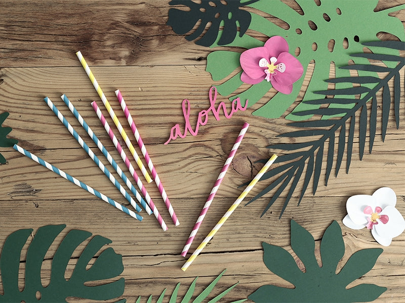 https://cdn.shopify.com/s/files/1/1449/4112/products/DarkPinkStripedTropicalPaperStraws_1600x.jpg?v=1613773370