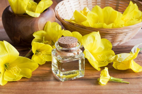 evening primrose oil for endometriosis