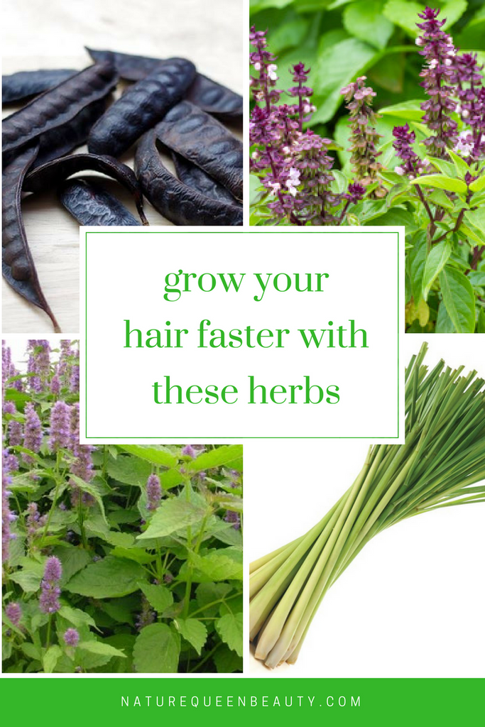 Grow your hair faster with these 4 herbs Nature Queen